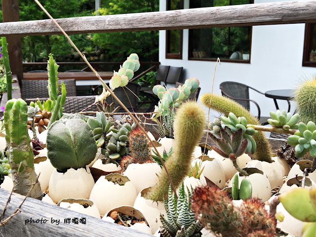 【苗栗 三義】漫時光咖啡☆★在唯美小屋用餐，渡過慢時光★☆5月順便賞油桐花(賞桐秘境)