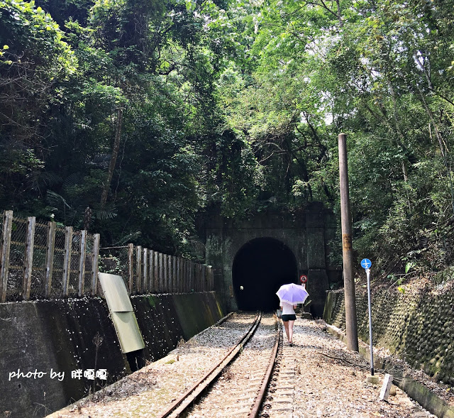 【苗栗 三義】漫時光咖啡☆★在唯美小屋用餐，渡過慢時光★☆5月順便賞油桐花(賞桐秘境)