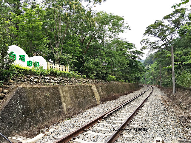 【苗栗 三義】漫時光咖啡☆★在唯美小屋用餐，渡過慢時光★☆5月順便賞油桐花(賞桐秘境)