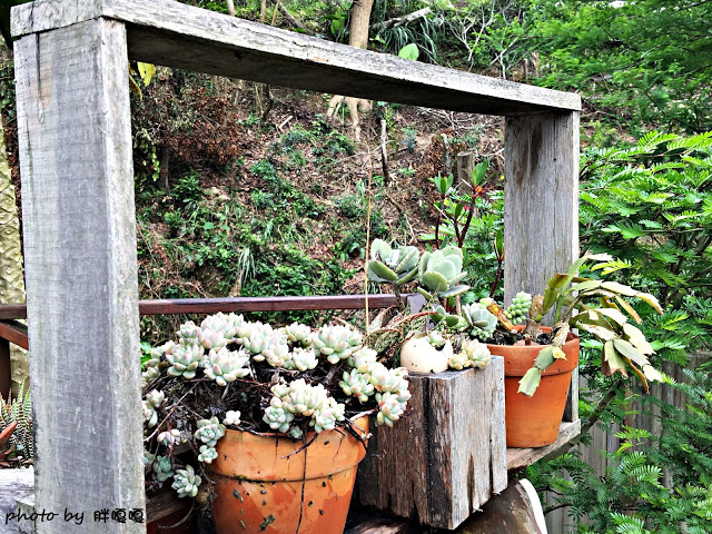 【苗栗 三義】漫時光咖啡☆★在唯美小屋用餐，渡過慢時光★☆5月順便賞油桐花(賞桐秘境)