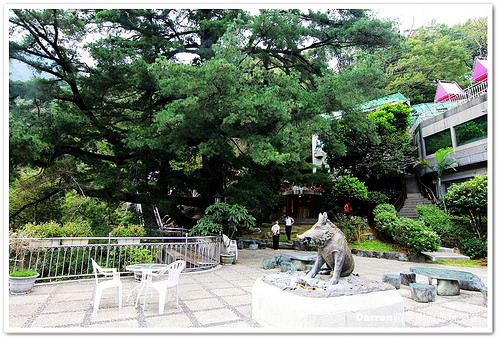 『台中谷關溫泉住宿』神木谷假期大飯店★景觀檜木溫泉湯屋賞美景泡溫泉/千年五葉松神木樹下乘涼摸姻緣豬求好姻緣/神木谷飯店一泊三食/台中高鐵客運到谷關方式