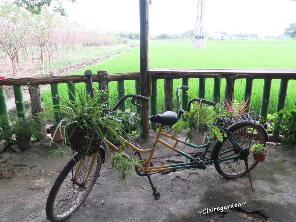 IMG_5711.JPG IMG_5711.JPG