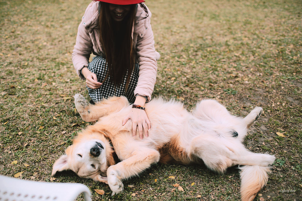 那晴耕雨讀小小野放 那晴耕雨讀小小野放