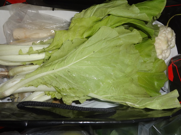 新加坡百勝廚拉麵：1021007[官本金文愛台灣口碑券第六彈]貴族的享受新加坡百勝廚拉麵瞬間感覺到了南洋