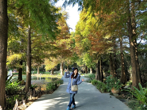 菁芳園休閒農場(Green Flavor Garden)：【彰化田尾景點】菁芳園~夢幻浪漫花房如婚紗棚內場景，池畔玻璃溫室餐廳，水漾落羽松季節限定，如置身異國歐洲般的美景