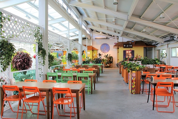 菁芳園休閒農場(Green Flavor Garden)：【彰化田尾景點】菁芳園~夢幻浪漫花房如婚紗棚內場景，池畔玻璃溫室餐廳，水漾落羽松季節限定，如置身異國歐洲般的美景