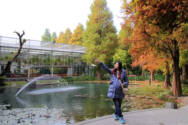 菁芳園休閒農場(Green Flavor Garden)：【彰化田尾景點】菁芳園~夢幻浪漫花房如婚紗棚內場景，池畔玻璃溫室餐廳，水漾落羽松季節限定，如置身異國歐洲般的美景
