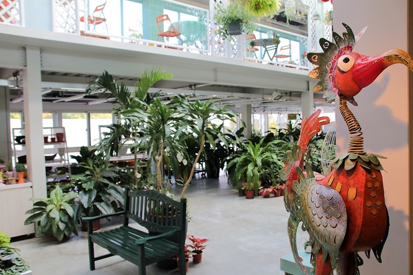 菁芳園休閒農場(Green Flavor Garden)：【彰化田尾景點】菁芳園~夢幻浪漫花房如婚紗棚內場景，池畔玻璃溫室餐廳，水漾落羽松季節限定，如置身異國歐洲般的美景