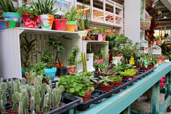 菁芳園休閒農場(Green Flavor Garden)：【彰化田尾景點】菁芳園~夢幻浪漫花房如婚紗棚內場景，池畔玻璃溫室餐廳，水漾落羽松季節限定，如置身異國歐洲般的美景