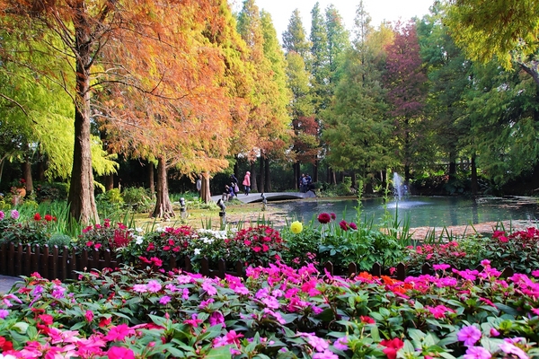 菁芳園休閒農場(Green Flavor Garden)：【彰化田尾景點】菁芳園~夢幻浪漫花房如婚紗棚內場景，池畔玻璃溫室餐廳，水漾落羽松季節限定，如置身異國歐洲般的美景