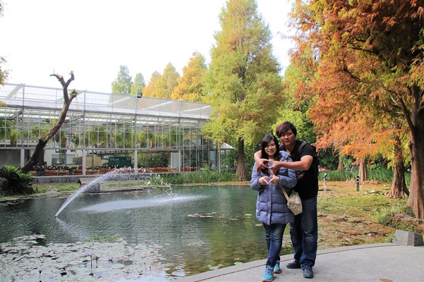 菁芳園休閒農場(Green Flavor Garden)：【彰化田尾景點】菁芳園~夢幻浪漫花房如婚紗棚內場景，池畔玻璃溫室餐廳，水漾落羽松季節限定，如置身異國歐洲般的美景