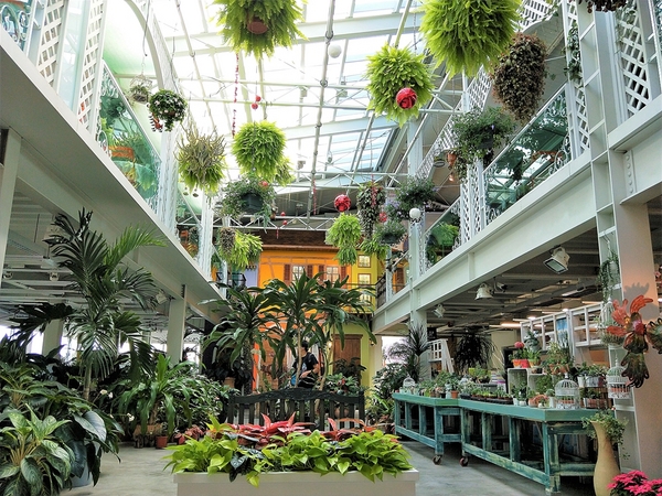 菁芳園休閒農場(Green Flavor Garden)：【彰化田尾景點】菁芳園~夢幻浪漫花房如婚紗棚內場景，池畔玻璃溫室餐廳，水漾落羽松季節限定，如置身異國歐洲般的美景