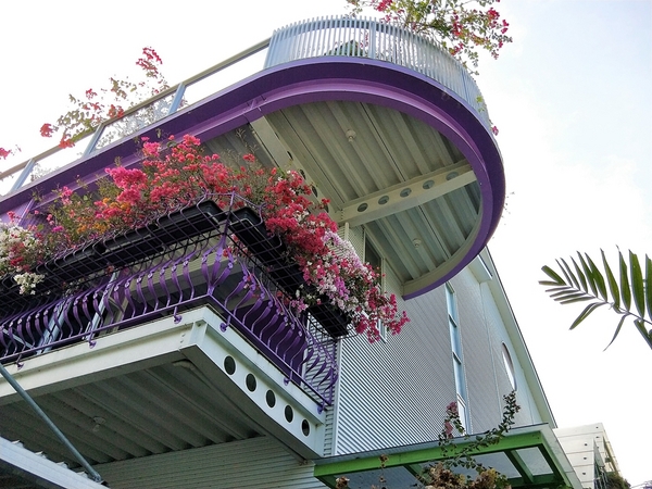 菁芳園休閒農場(Green Flavor Garden)：【彰化田尾景點】菁芳園~夢幻浪漫花房如婚紗棚內場景，池畔玻璃溫室餐廳，水漾落羽松季節限定，如置身異國歐洲般的美景