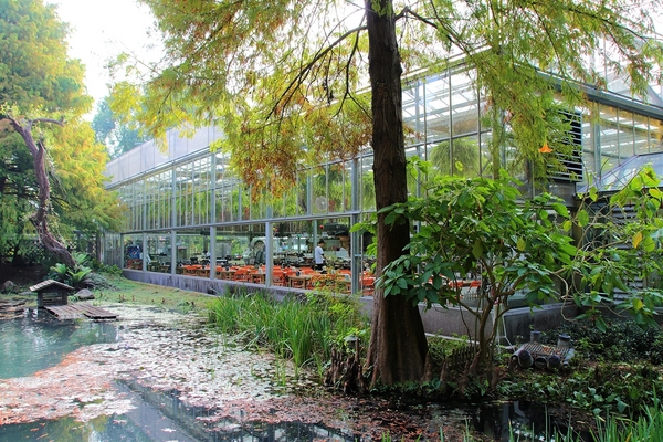 菁芳園休閒農場(Green Flavor Garden)：【彰化田尾景點】菁芳園~夢幻浪漫花房如婚紗棚內場景，池畔玻璃溫室餐廳，水漾落羽松季節限定，如置身異國歐洲般的美景