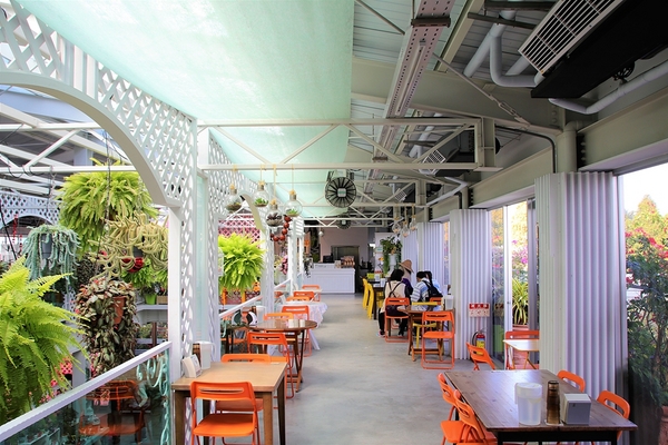 菁芳園休閒農場(Green Flavor Garden)：【彰化田尾景點】菁芳園~夢幻浪漫花房如婚紗棚內場景，池畔玻璃溫室餐廳，水漾落羽松季節限定，如置身異國歐洲般的美景