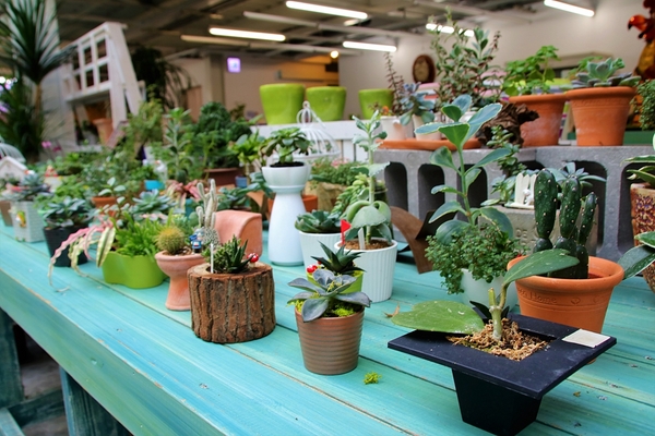 菁芳園休閒農場(Green Flavor Garden)：【彰化田尾景點】菁芳園~夢幻浪漫花房如婚紗棚內場景，池畔玻璃溫室餐廳，水漾落羽松季節限定，如置身異國歐洲般的美景