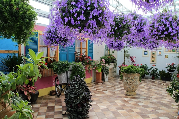 菁芳園休閒農場(Green Flavor Garden)：【彰化田尾景點】菁芳園~夢幻浪漫花房如婚紗棚內場景，池畔玻璃溫室餐廳，水漾落羽松季節限定，如置身異國歐洲般的美景