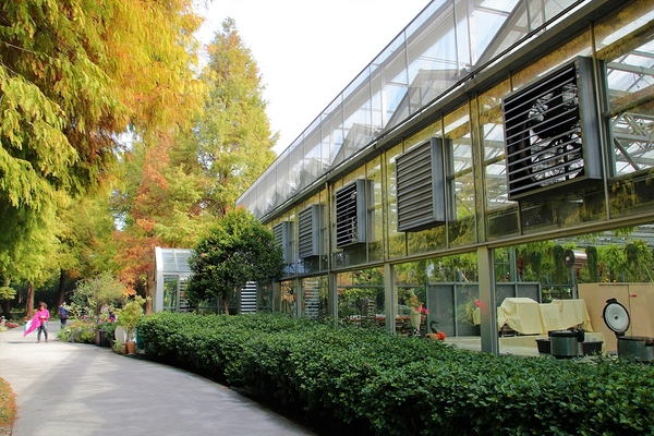 菁芳園休閒農場(Green Flavor Garden)：【彰化田尾景點】菁芳園~夢幻浪漫花房如婚紗棚內場景，池畔玻璃溫室餐廳，水漾落羽松季節限定，如置身異國歐洲般的美景