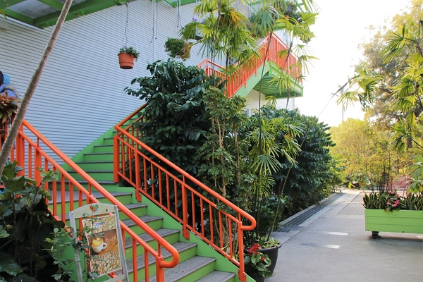 菁芳園休閒農場(Green Flavor Garden)：【彰化田尾景點】菁芳園~夢幻浪漫花房如婚紗棚內場景，池畔玻璃溫室餐廳，水漾落羽松季節限定，如置身異國歐洲般的美景