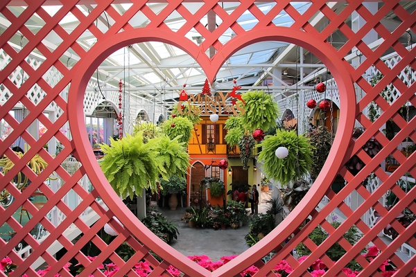 菁芳園休閒農場(Green Flavor Garden)：【彰化田尾景點】菁芳園~夢幻浪漫花房如婚紗棚內場景，池畔玻璃溫室餐廳，水漾落羽松季節限定，如置身異國歐洲般的美景