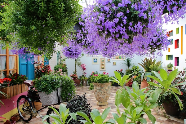 菁芳園休閒農場(Green Flavor Garden)：【彰化田尾景點】菁芳園~夢幻浪漫花房如婚紗棚內場景，池畔玻璃溫室餐廳，水漾落羽松季節限定，如置身異國歐洲般的美景