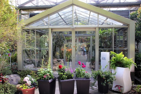 菁芳園休閒農場(Green Flavor Garden)：【彰化田尾景點】菁芳園~夢幻浪漫花房如婚紗棚內場景，池畔玻璃溫室餐廳，水漾落羽松季節限定，如置身異國歐洲般的美景