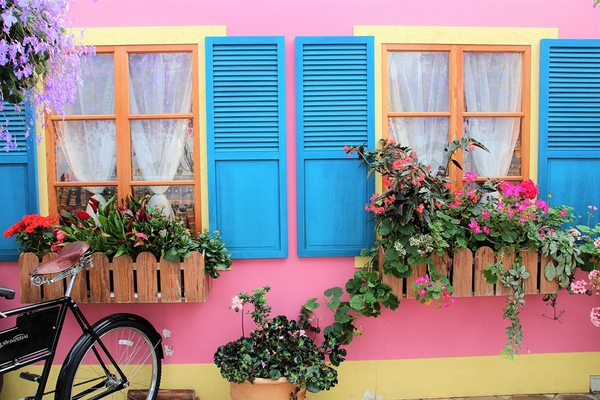 菁芳園休閒農場(Green Flavor Garden)：【彰化田尾景點】菁芳園~夢幻浪漫花房如婚紗棚內場景，池畔玻璃溫室餐廳，水漾落羽松季節限定，如置身異國歐洲般的美景