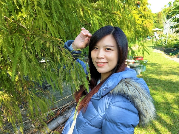 菁芳園休閒農場(Green Flavor Garden)：【彰化田尾景點】菁芳園~夢幻浪漫花房如婚紗棚內場景，池畔玻璃溫室餐廳，水漾落羽松季節限定，如置身異國歐洲般的美景