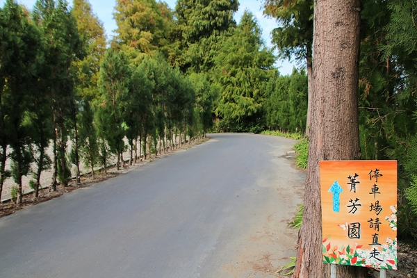 菁芳園休閒農場(Green Flavor Garden)：【彰化田尾景點】菁芳園~夢幻浪漫花房如婚紗棚內場景，池畔玻璃溫室餐廳，水漾落羽松季節限定，如置身異國歐洲般的美景