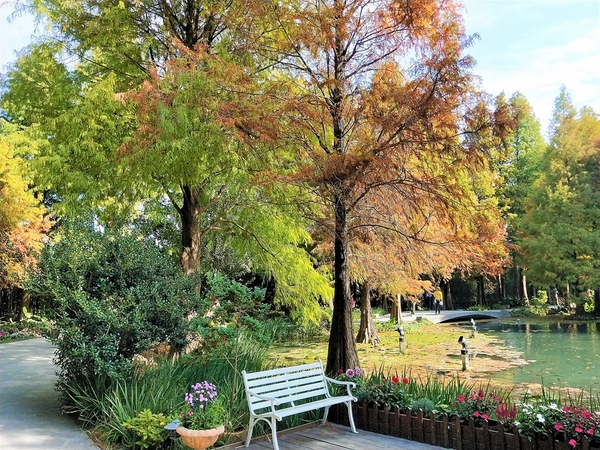 菁芳園休閒農場(Green Flavor Garden)：【彰化田尾景點】菁芳園~夢幻浪漫花房如婚紗棚內場景，池畔玻璃溫室餐廳，水漾落羽松季節限定，如置身異國歐洲般的美景