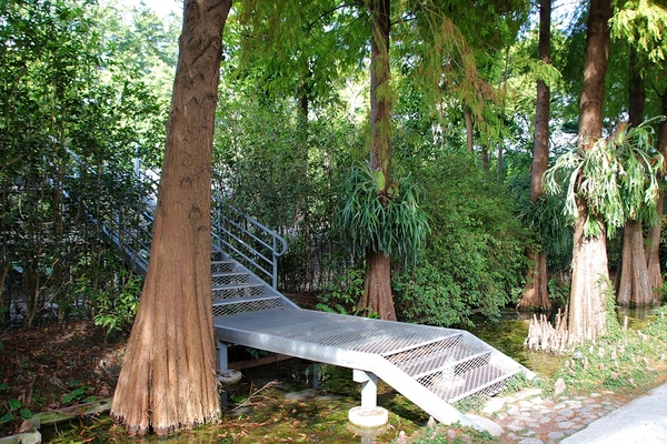 菁芳園休閒農場(Green Flavor Garden)：【彰化田尾景點】菁芳園~夢幻浪漫花房如婚紗棚內場景，池畔玻璃溫室餐廳，水漾落羽松季節限定，如置身異國歐洲般的美景