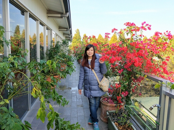 菁芳園休閒農場(Green Flavor Garden)：【彰化田尾景點】菁芳園~夢幻浪漫花房如婚紗棚內場景，池畔玻璃溫室餐廳，水漾落羽松季節限定，如置身異國歐洲般的美景