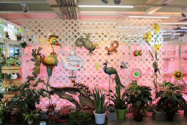 菁芳園休閒農場(Green Flavor Garden)：【彰化田尾景點】菁芳園~夢幻浪漫花房如婚紗棚內場景，池畔玻璃溫室餐廳，水漾落羽松季節限定，如置身異國歐洲般的美景