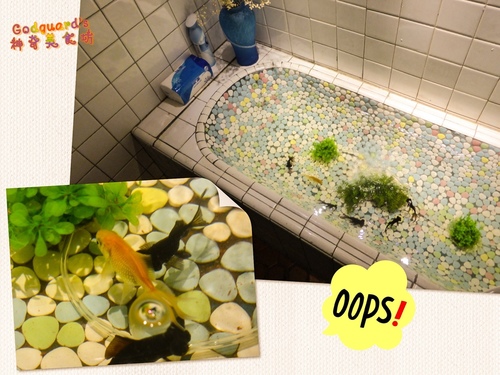 (私心推薦)[板橋] 早午餐高CP、隱藏在板橋的文藝中心——小廚房kitchenette CAFE