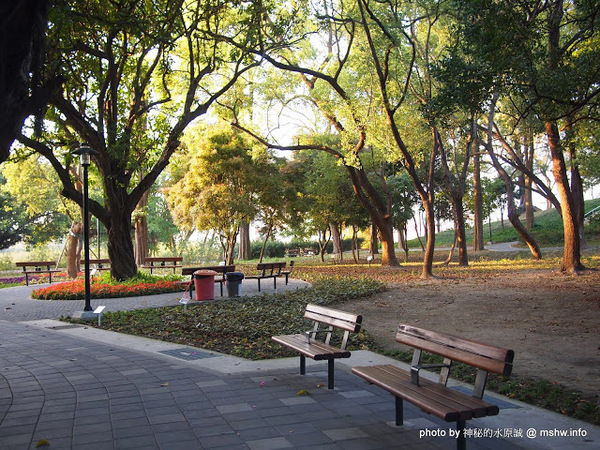 佳里中山公園(2013台南百花祭)：【景點】台南佳里中山公園@2014台南百花祭 : 花沒想像中的多,但還蠻適合散步的囉!