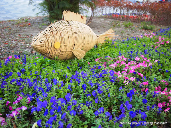 佳里中山公園(2013台南百花祭)：【景點】台南佳里中山公園@2014台南百花祭 : 花沒想像中的多,但還蠻適合散步的囉!