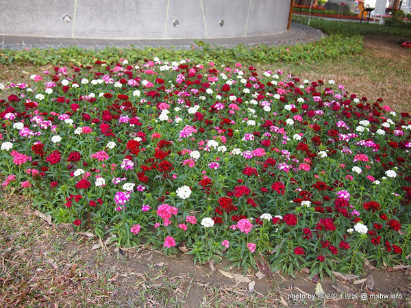 佳里中山公園(2013台南百花祭)：【景點】台南佳里中山公園@2014台南百花祭 : 花沒想像中的多,但還蠻適合散步的囉!