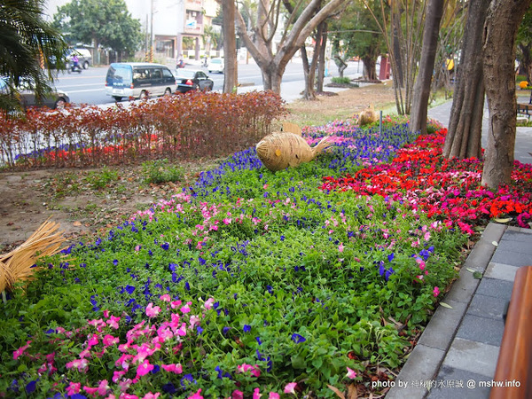佳里中山公園(2013台南百花祭)：【景點】台南佳里中山公園@2014台南百花祭 : 花沒想像中的多,但還蠻適合散步的囉!