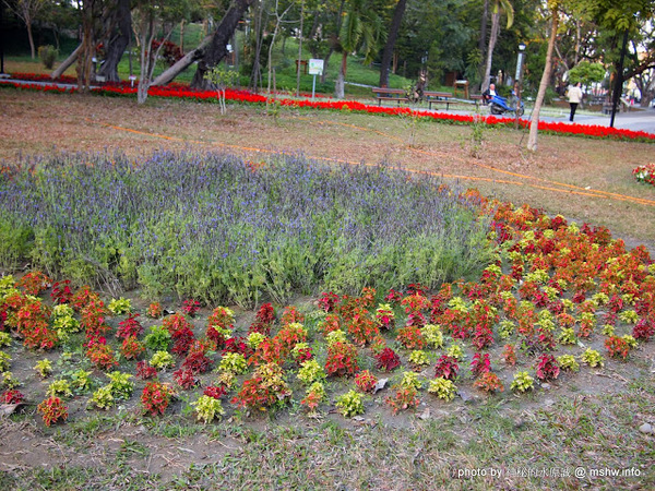 佳里中山公園(2013台南百花祭)：【景點】台南佳里中山公園@2014台南百花祭 : 花沒想像中的多,但還蠻適合散步的囉!