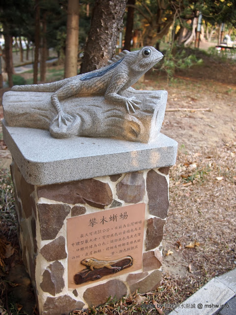佳里中山公園(2013台南百花祭)：【景點】台南佳里中山公園@2014台南百花祭 : 花沒想像中的多,但還蠻適合散步的囉!