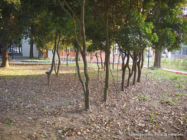 佳里中山公園(2013台南百花祭)：【景點】台南佳里中山公園@2014台南百花祭 : 花沒想像中的多,但還蠻適合散步的囉!