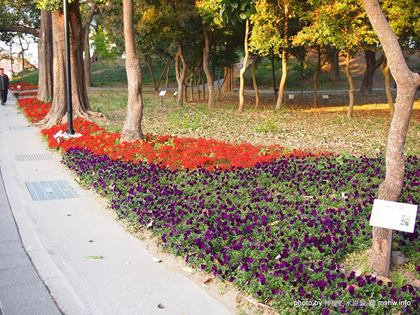 佳里中山公園(2013台南百花祭)：【景點】台南佳里中山公園@2014台南百花祭 : 花沒想像中的多,但還蠻適合散步的囉!