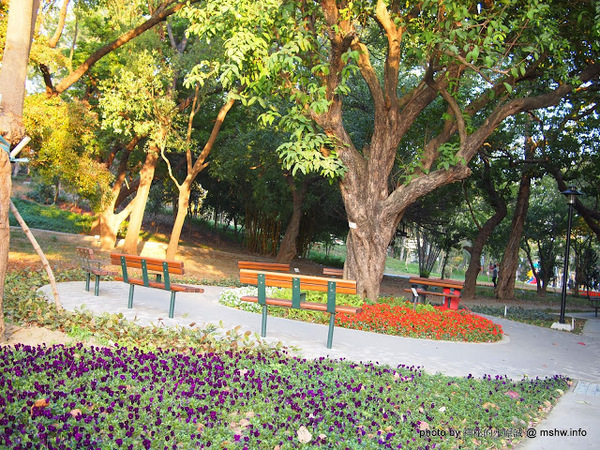 佳里中山公園(2013台南百花祭)：【景點】台南佳里中山公園@2014台南百花祭 : 花沒想像中的多,但還蠻適合散步的囉!