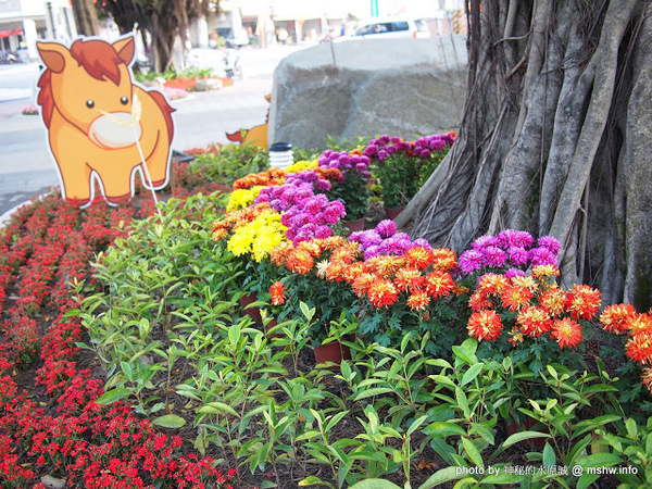 佳里中山公園(2013台南百花祭)：【景點】台南佳里中山公園@2014台南百花祭 : 花沒想像中的多,但還蠻適合散步的囉!