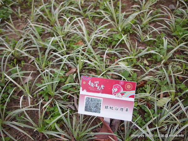 佳里中山公園(2013台南百花祭)：【景點】台南佳里中山公園@2014台南百花祭 : 花沒想像中的多,但還蠻適合散步的囉!