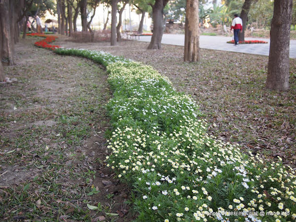 佳里中山公園(2013台南百花祭)：【景點】台南佳里中山公園@2014台南百花祭 : 花沒想像中的多,但還蠻適合散步的囉!