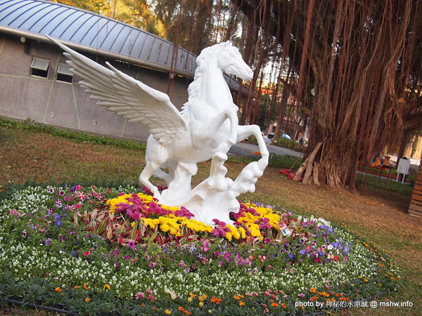 佳里中山公園(2013台南百花祭)：【景點】台南佳里中山公園@2014台南百花祭 : 花沒想像中的多,但還蠻適合散步的囉!