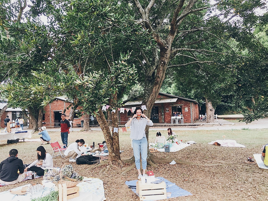 彰化景點彰化美食顏氏牧場2書市野餐日市集41
