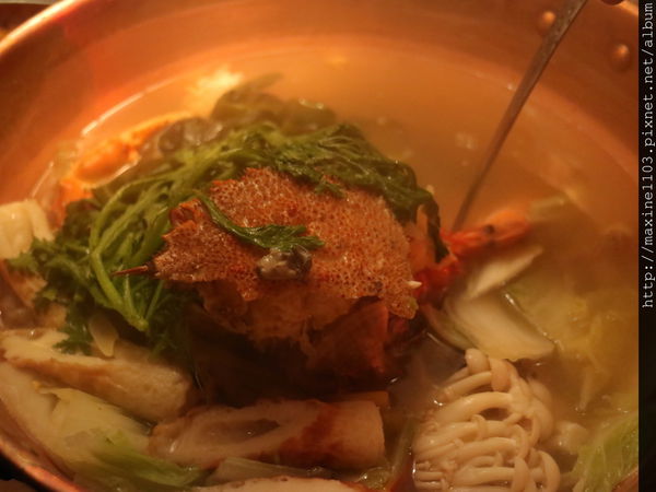 IMG_6445.JPG IMG_6445.JPG