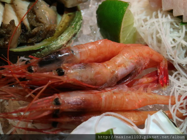 IMG_6431.JPG IMG_6431.JPG